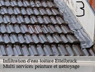 Infiltration d'eau toiture  ettelbruck- Multi services peinture et nettoyage 