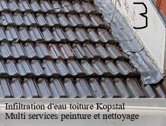 Infiltration d'eau toiture  kopstal- Multi services peinture et nettoyage 