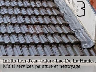 Infiltration d'eau toiture  lac-de-la-haute-sure- Multi services peinture et nettoyage 