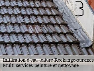 Infiltration d'eau toiture  reckange-sur-mess- Multi services peinture et nettoyage 