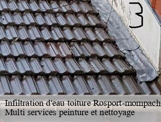 Infiltration d'eau toiture  rosport-mompach- Multi services peinture et nettoyage 