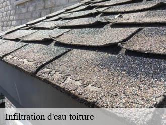 Infiltration d'eau toiture  schuttrange- Multi services peinture et nettoyage 