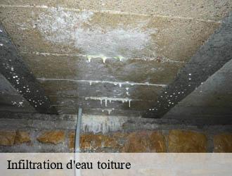 Infiltration d'eau toiture  steinfort- Multi services peinture et nettoyage 