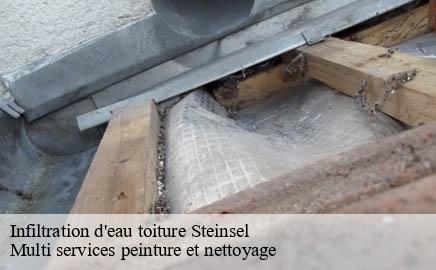 Infiltration d'eau toiture steinsel- Multi services peinture et nettoyage