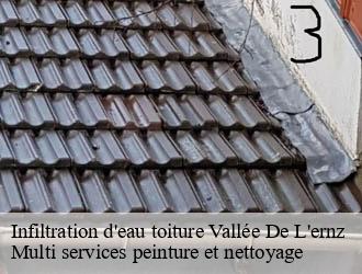 Infiltration d'eau toiture  vallee-de-l-ernz- Multi services peinture et nettoyage 