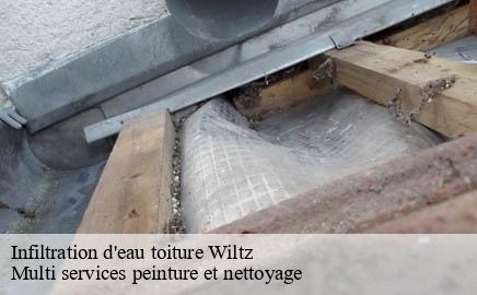 Infiltration d'eau toiture  wiltz- Multi services peinture et nettoyage 