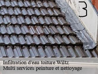 Infiltration d'eau toiture  wiltz- Multi services peinture et nettoyage 