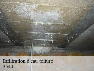 Infiltration d'eau toiture  dudelange-3544 Multi services peinture et nettoyage 