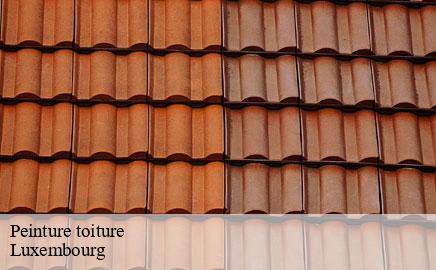 Peinture toiture LU Luxembourg Multi services peinture et nettoyage