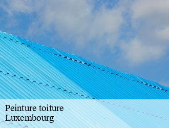 Peinture toiture LU Luxembourg Multi services peinture et nettoyage