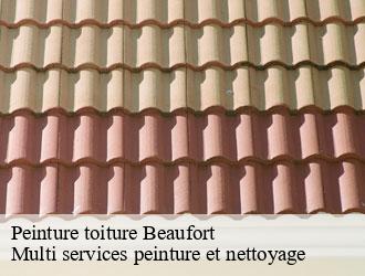 Peinture toiture beaufort- Multi services peinture et nettoyage