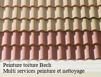 Peinture toiture bech- Multi services peinture et nettoyage