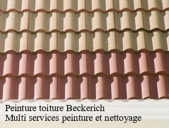 Peinture toiture beckerich- Multi services peinture et nettoyage