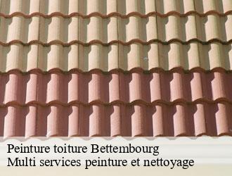 Peinture toiture bettembourg- Multi services peinture et nettoyage