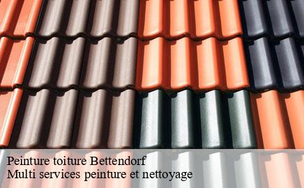 Peinture toiture  bettendorf- Multi services peinture et nettoyage 