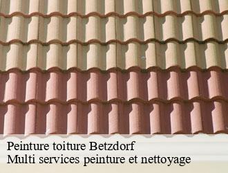 Peinture toiture betzdorf- Multi services peinture et nettoyage