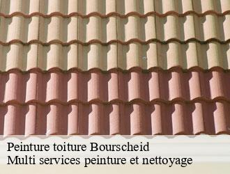 Peinture toiture  bourscheid- Multi services peinture et nettoyage 