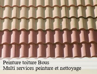 Peinture toiture bous- Multi services peinture et nettoyage