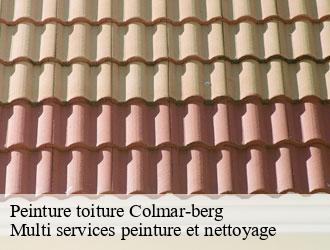 Peinture toiture colmar-berg- Multi services peinture et nettoyage
