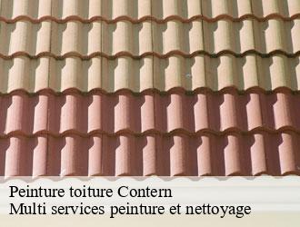 Peinture toiture contern- Multi services peinture et nettoyage