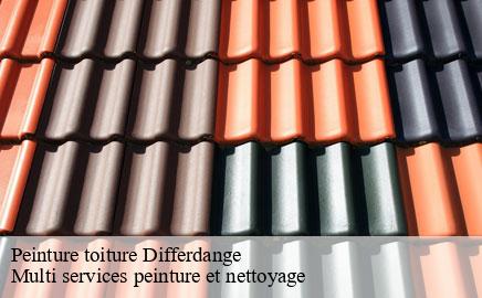 Peinture toiture differdange- Multi services peinture et nettoyage
