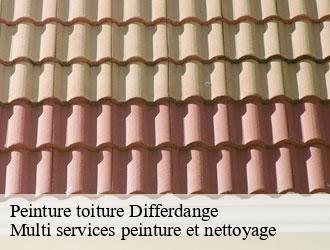 Peinture toiture differdange- Multi services peinture et nettoyage