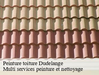 Peinture toiture  dudelange- Multi services peinture et nettoyage 