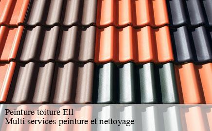 Peinture toiture  ell- Multi services peinture et nettoyage 