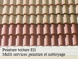 Peinture toiture  ell- Multi services peinture et nettoyage 