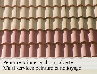 Peinture toiture esch-sur-alzette- Multi services peinture et nettoyage