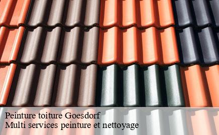 Peinture toiture goesdorf- Multi services peinture et nettoyage