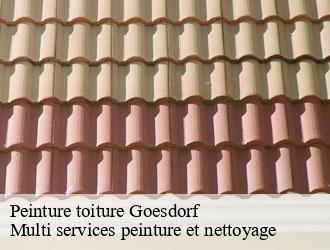 Peinture toiture goesdorf- Multi services peinture et nettoyage