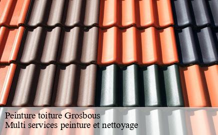 Peinture toiture grosbous- Multi services peinture et nettoyage