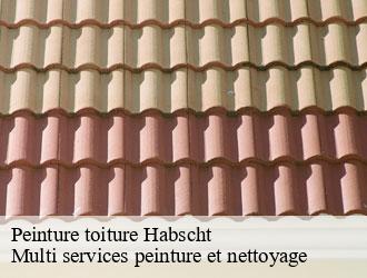 Peinture toiture habscht- Multi services peinture et nettoyage