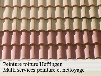 Peinture toiture heffingen- Multi services peinture et nettoyage