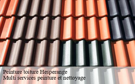 Peinture toiture  hesperange- Multi services peinture et nettoyage 