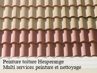 Peinture toiture  hesperange- Multi services peinture et nettoyage 