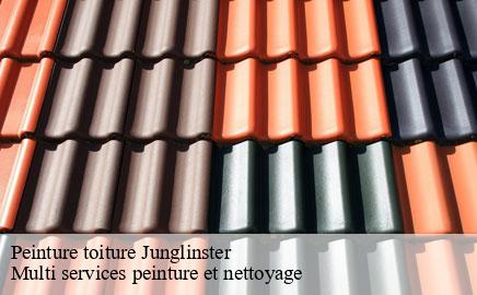 Peinture toiture junglinster- Multi services peinture et nettoyage