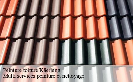 Peinture toiture kaerjeng- Multi services peinture et nettoyage