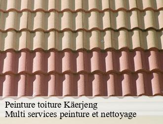 Peinture toiture kaerjeng- Multi services peinture et nettoyage