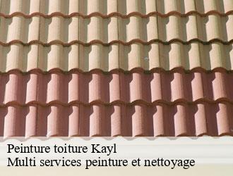 Peinture toiture kayl- Multi services peinture et nettoyage