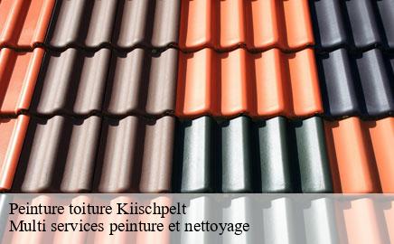 Peinture toiture kiischpelt- Multi services peinture et nettoyage