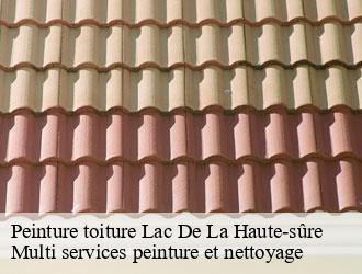 Peinture toiture  lac-de-la-haute-sure- Multi services peinture et nettoyage 