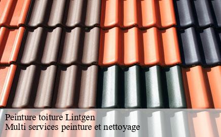 Peinture toiture lintgen- Multi services peinture et nettoyage