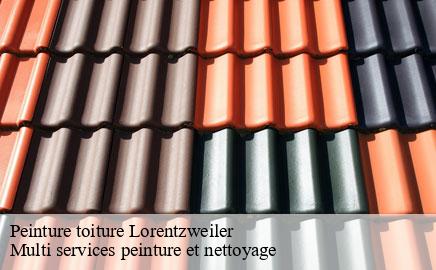 Peinture toiture lorentzweiler- Multi services peinture et nettoyage