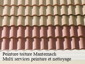 Peinture toiture manternach- Multi services peinture et nettoyage
