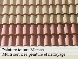 Peinture toiture  mersch- Multi services peinture et nettoyage 