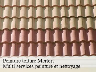 Peinture toiture mertert- Multi services peinture et nettoyage