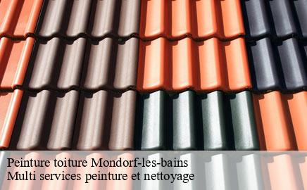 Peinture toiture mondorf-les-bains- Multi services peinture et nettoyage