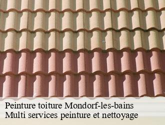 Peinture toiture mondorf-les-bains- Multi services peinture et nettoyage